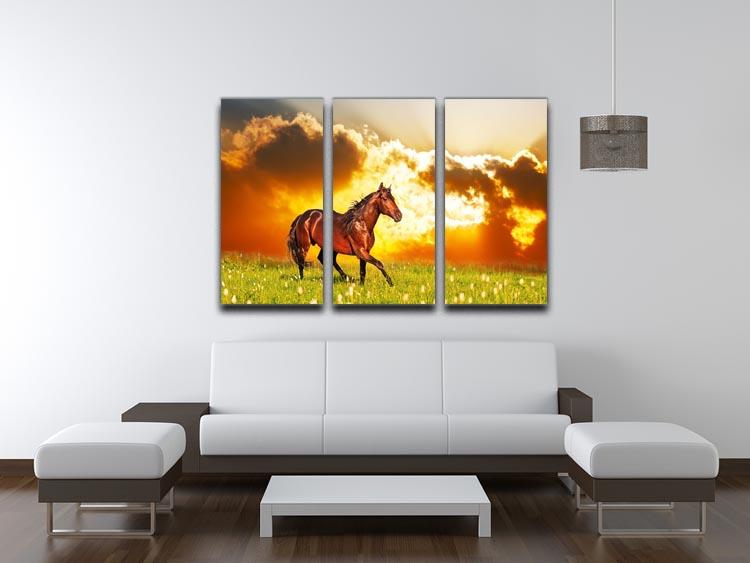 Bay horse skips on a meadow against a sunset 3 Split Panel Canvas Print - Canvas Art Rocks - 3