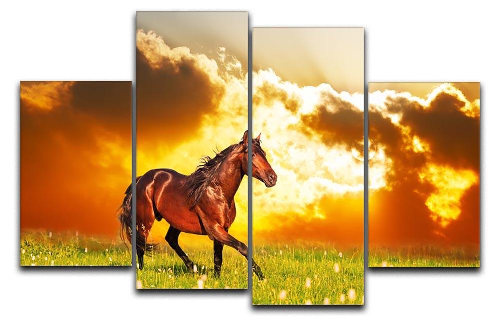 Bay horse skips on a meadow against a sunset 4 Split Panel Canvas - Canvas Art Rocks - 1