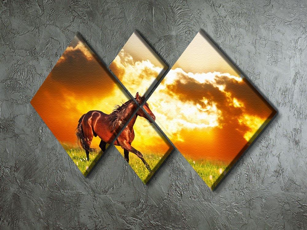 Bay horse skips on a meadow against a sunset 4 Square Multi Panel Canvas - Canvas Art Rocks - 2