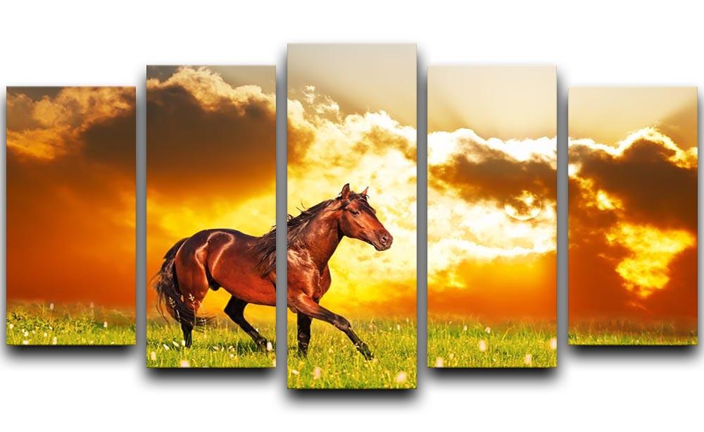 Bay horse skips on a meadow against a sunset 5 Split Panel Canvas - Canvas Art Rocks - 1