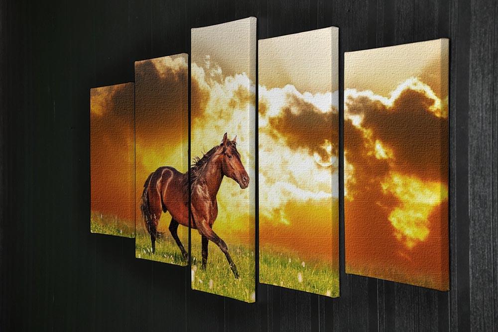 Bay horse skips on a meadow against a sunset 5 Split Panel Canvas - Canvas Art Rocks - 2