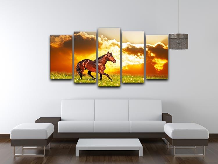 Bay horse skips on a meadow against a sunset 5 Split Panel Canvas - Canvas Art Rocks - 3