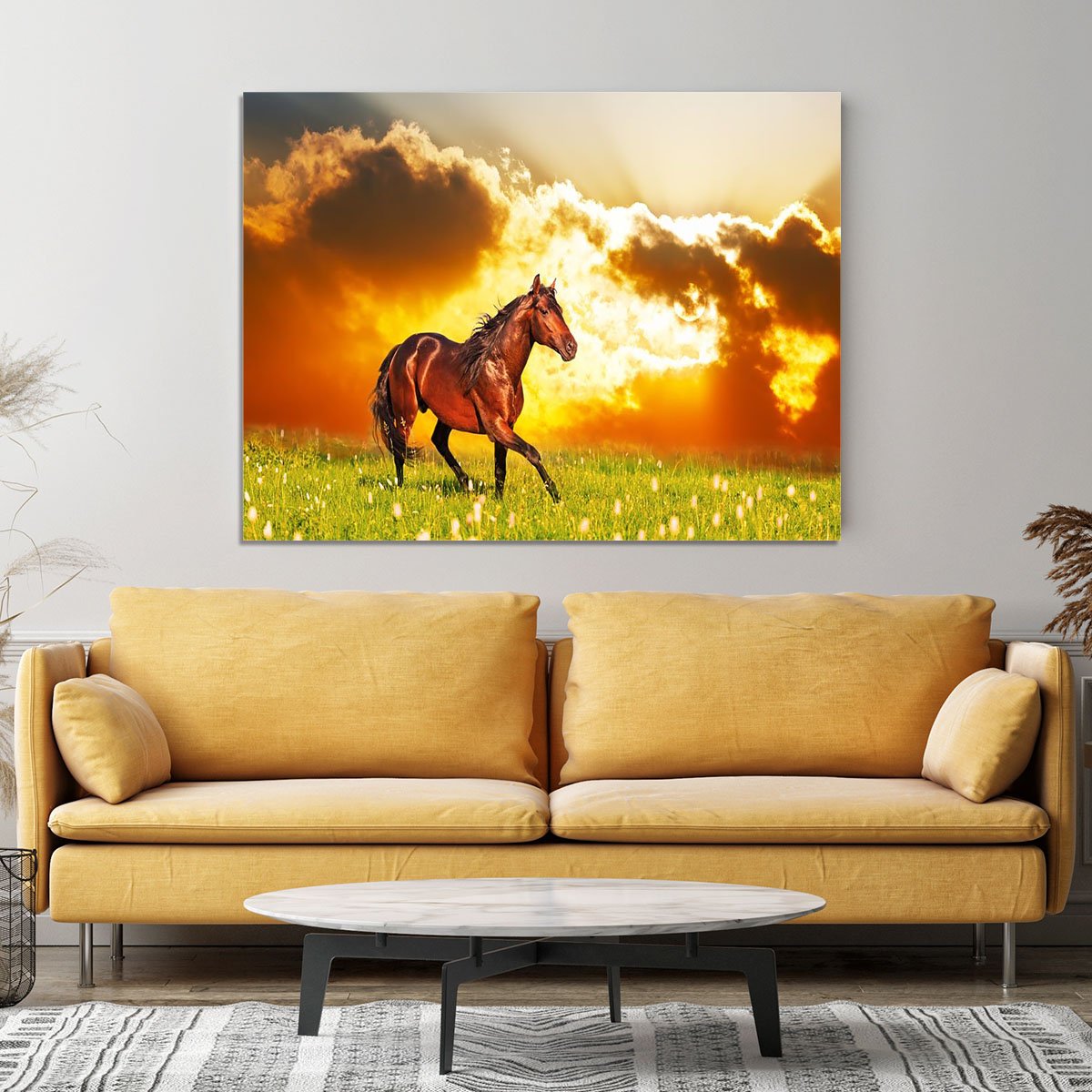 Bay horse skips on a meadow against a sunset Canvas Print or Poster
