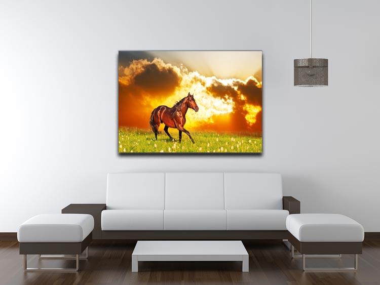 Bay horse skips on a meadow against a sunset Canvas Print or Poster - Canvas Art Rocks - 4