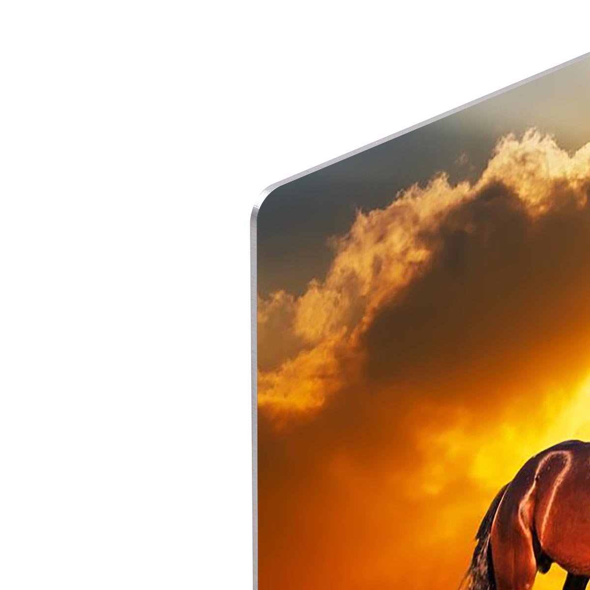 Bay horse skips on a meadow against a sunset HD Metal Print - Canvas Art Rocks - 4