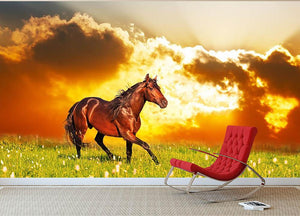 Bay horse skips on a meadow against a sunset Wall Mural Wallpaper - Canvas Art Rocks - 2