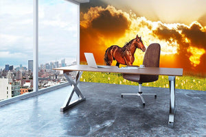 Bay horse skips on a meadow against a sunset Wall Mural Wallpaper - Canvas Art Rocks - 3