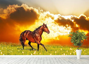 Bay horse skips on a meadow against a sunset Wall Mural Wallpaper - Canvas Art Rocks - 4