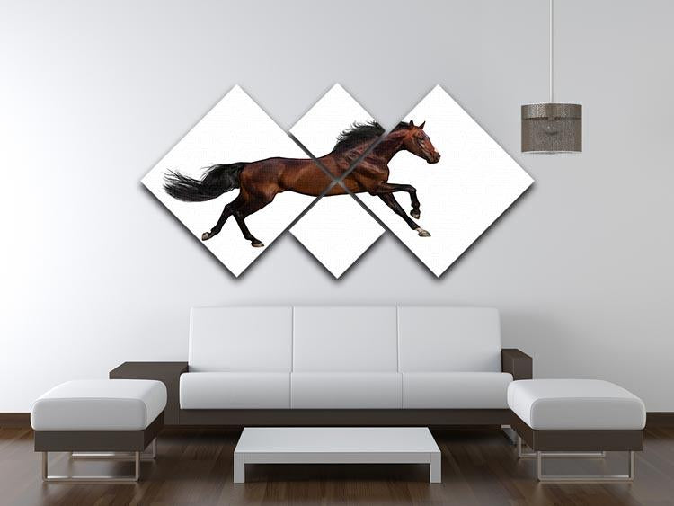 Bay stallion run 4 Square Multi Panel Canvas - Canvas Art Rocks - 3