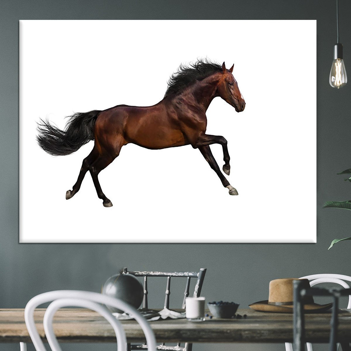 Bay stallion run Canvas Print or Poster
