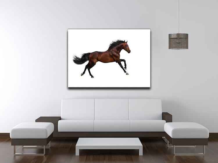 Bay stallion run Canvas Print or Poster - Canvas Art Rocks - 4