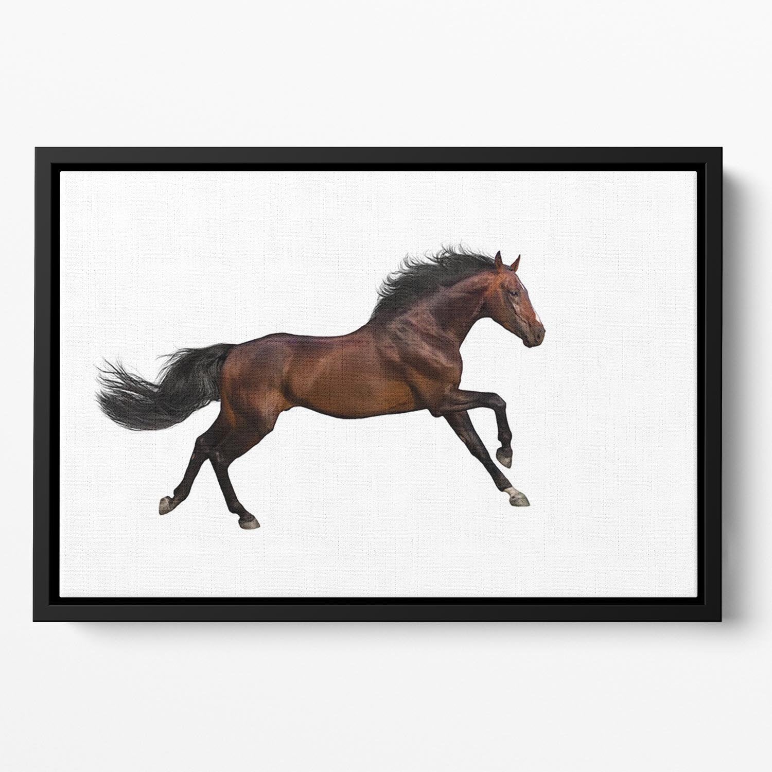Bay stallion run Floating Framed Canvas - Canvas Art Rocks - 2