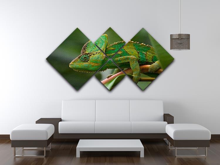 Beaitiful green Jemen chameleon 4 Square Multi Panel Canvas - Canvas Art Rocks - 3