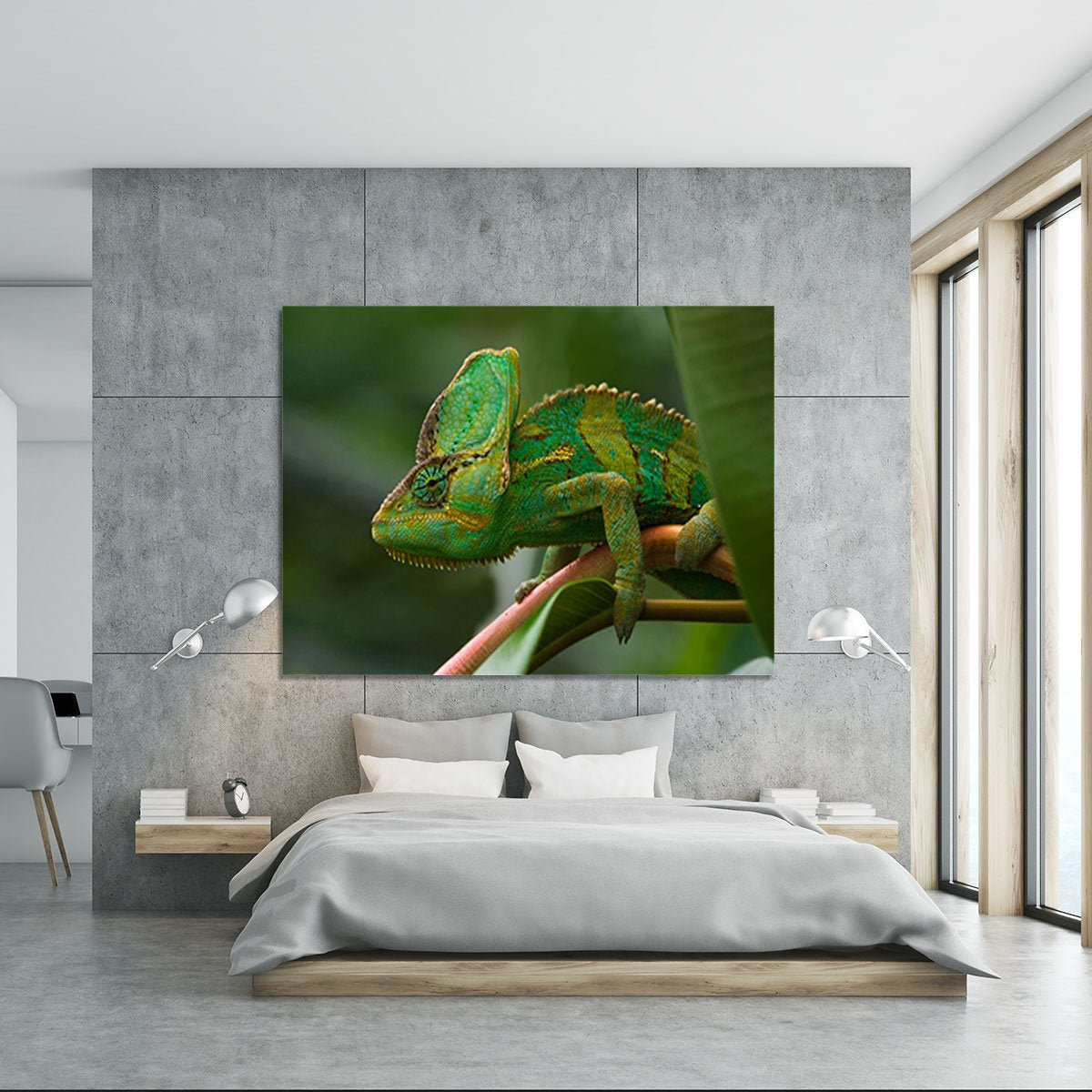 Beaitiful green Jemen chameleon Canvas Print or Poster