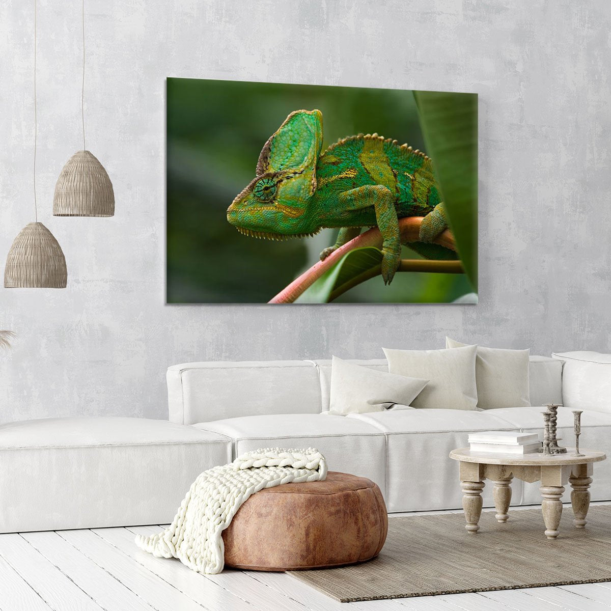 Beaitiful green Jemen chameleon Canvas Print or Poster