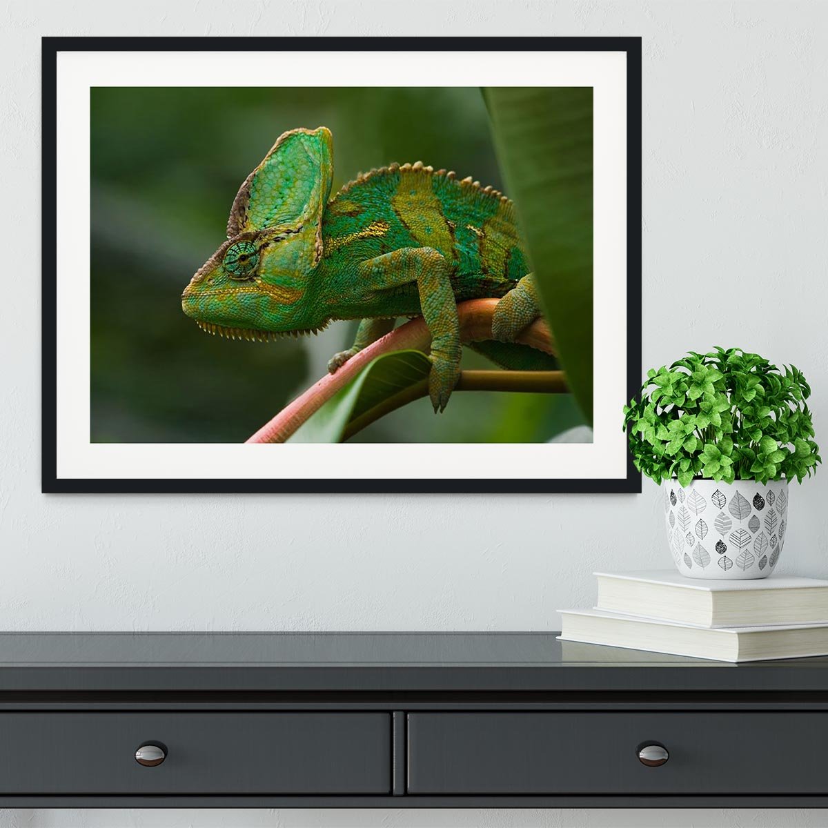 Beaitiful green Jemen chameleon Framed Print - Canvas Art Rocks - 1