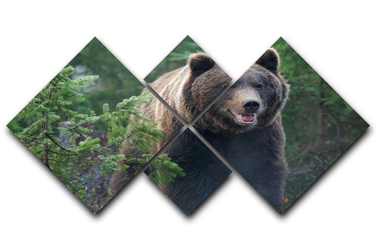 Bear in forest 4 Square Multi Panel Canvas - Canvas Art Rocks - 1