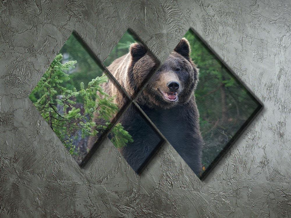 Bear in forest 4 Square Multi Panel Canvas - Canvas Art Rocks - 2