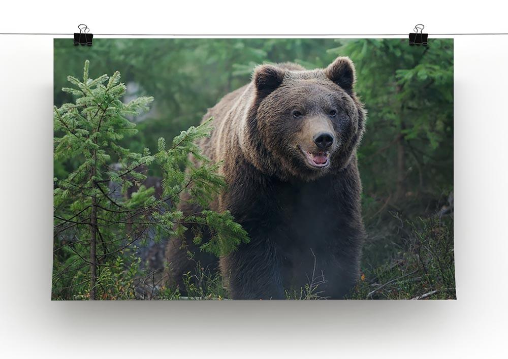 Bear in forest Canvas Print or Poster - Canvas Art Rocks - 2