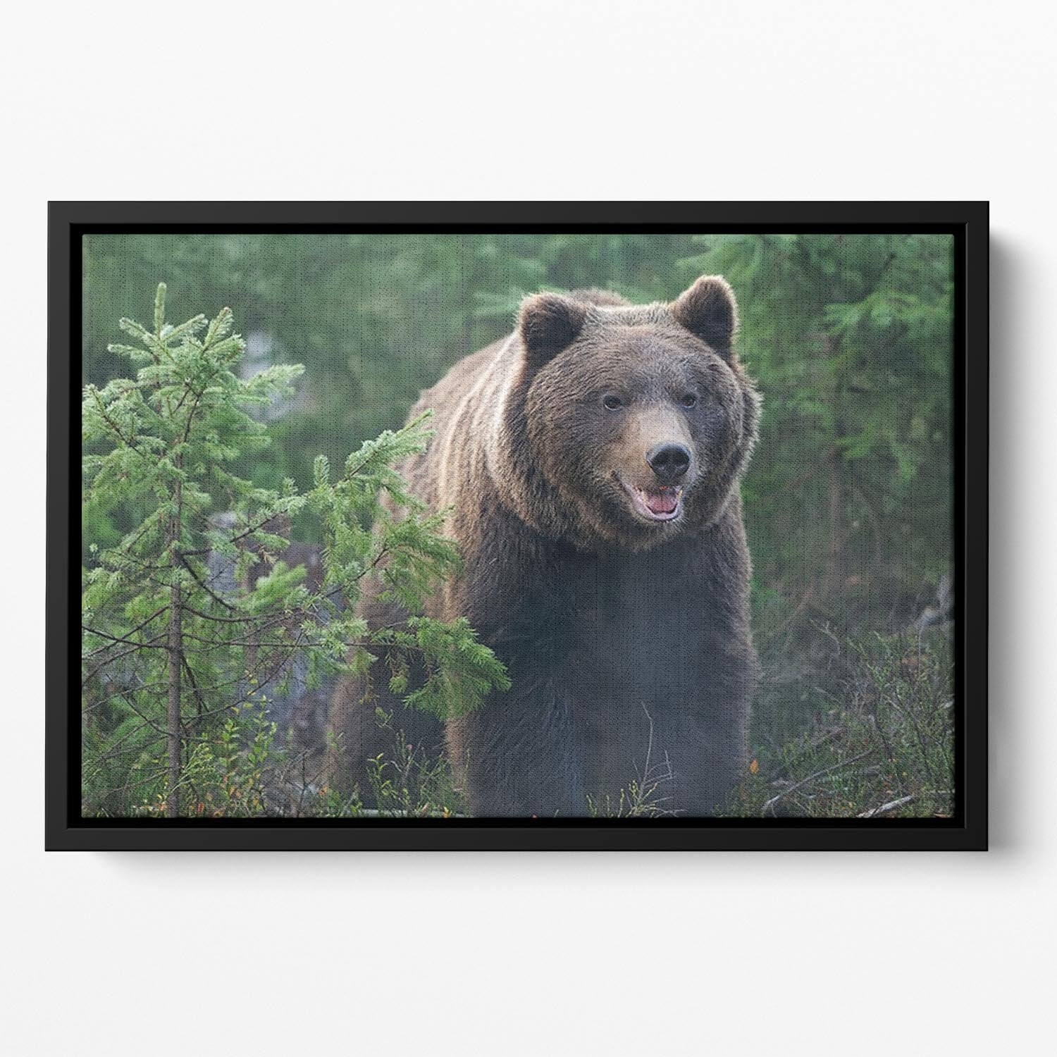 Bear in forest Floating Framed Canvas - Canvas Art Rocks - 2