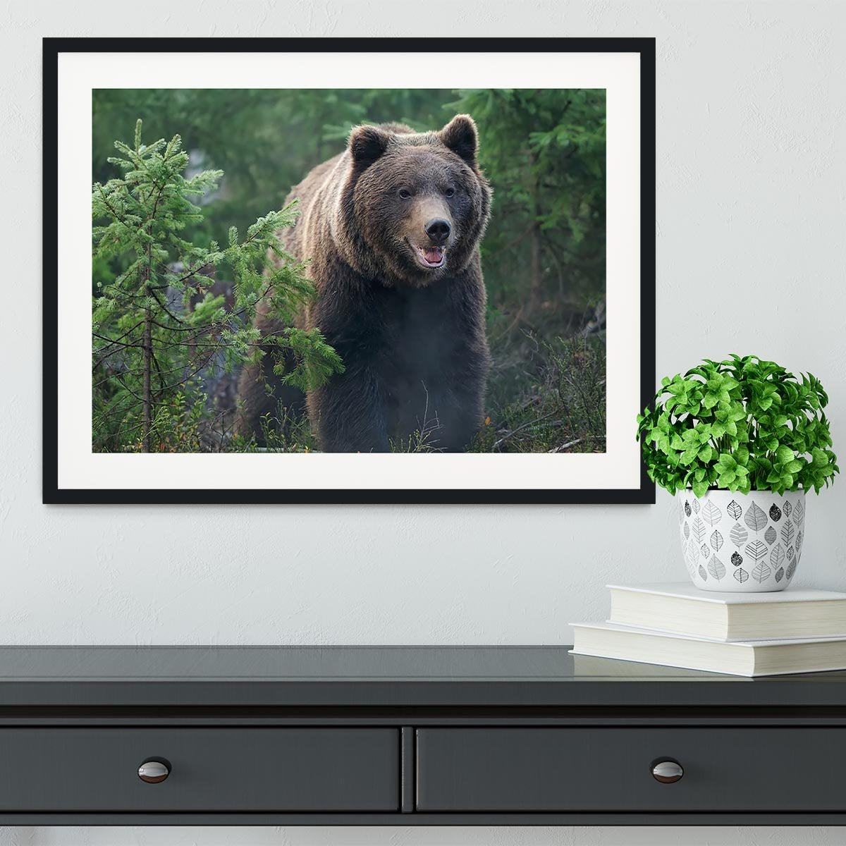 Bear in forest Framed Print - Canvas Art Rocks - 1