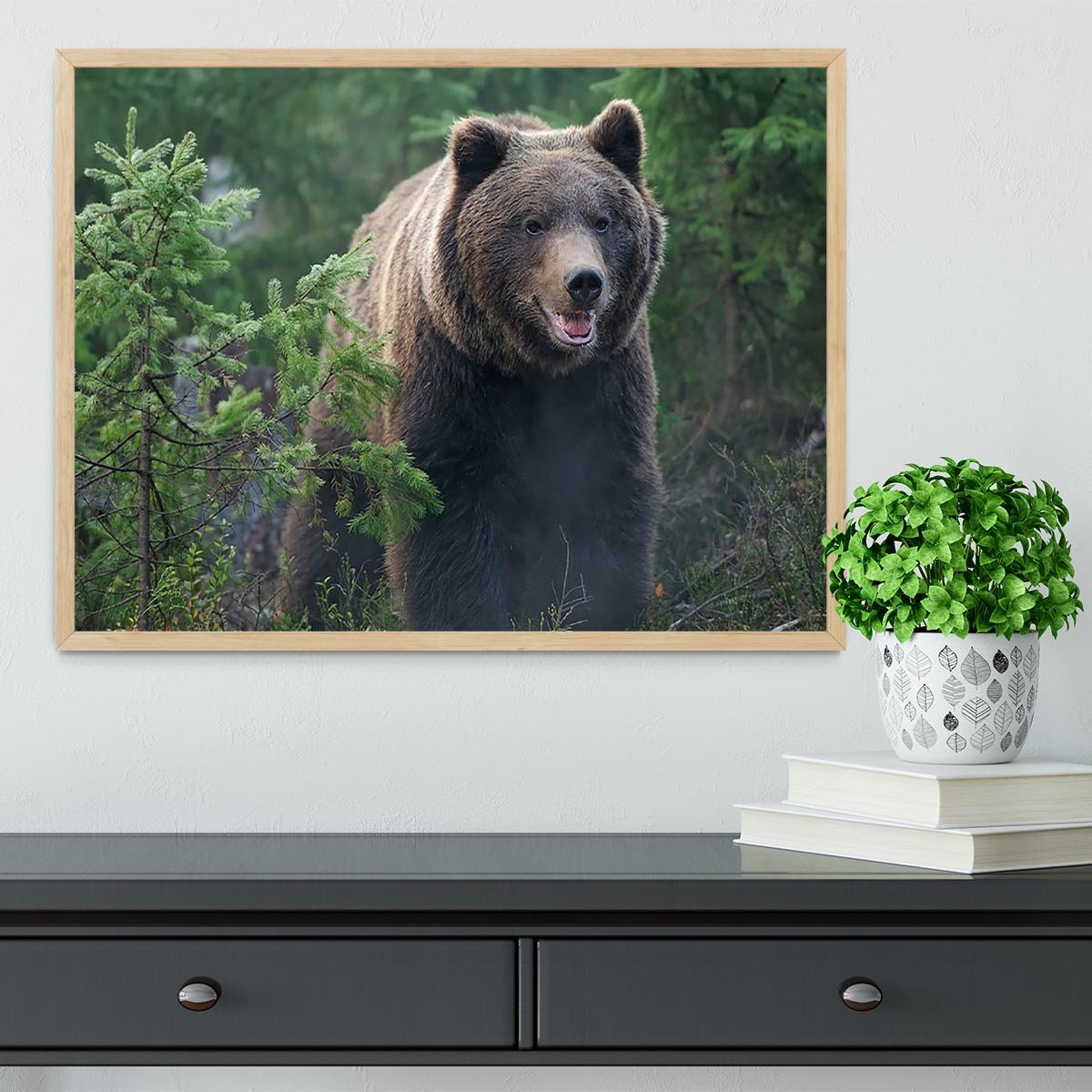 Bear in forest Framed Print - Canvas Art Rocks - 4
