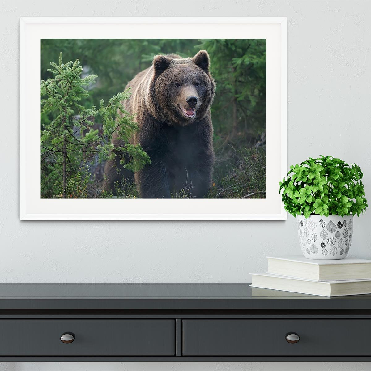 Bear in forest Framed Print - Canvas Art Rocks - 5