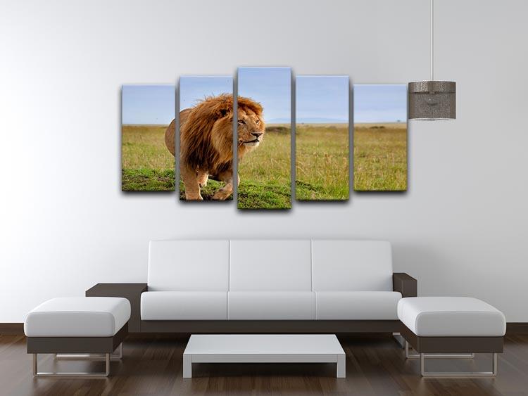 Beautiful Lion Long in Masai Mara 5 Split Panel Canvas - Canvas Art Rocks - 3
