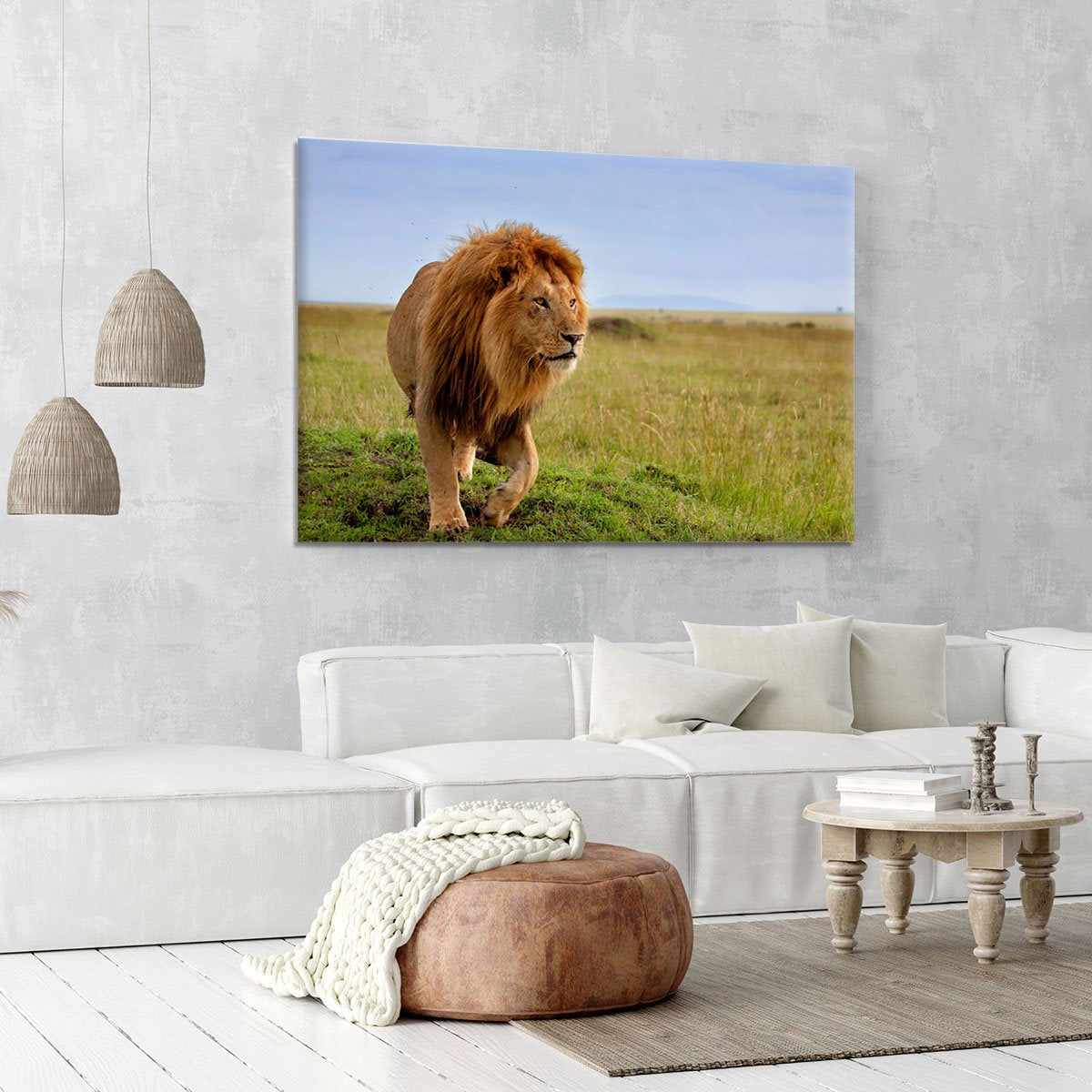 Beautiful Lion Long in Masai Mara Canvas Print or Poster