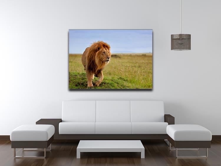 Beautiful Lion Long in Masai Mara Canvas Print or Poster - Canvas Art Rocks - 4