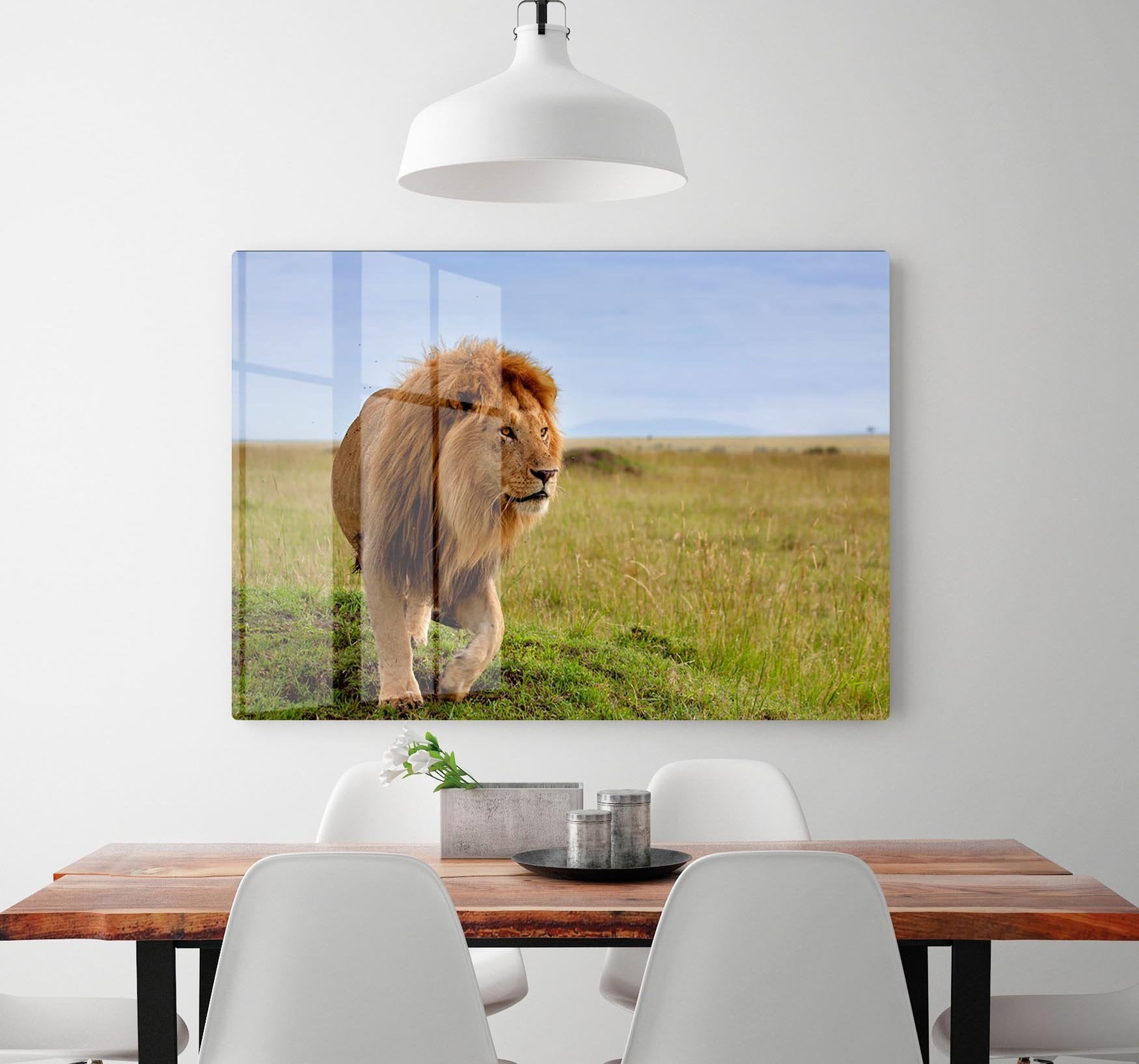 Beautiful Lion Long in Masai Mara HD Metal Print - Canvas Art Rocks - 2