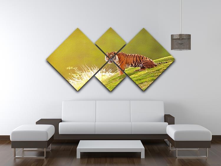 Beautiful Sumatran Tiger 4 Square Multi Panel Canvas - Canvas Art Rocks - 3