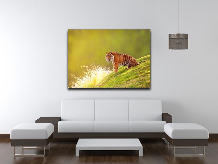 Beautiful Sumatran Tiger Canvas Print or Poster - Canvas Art Rocks - 4