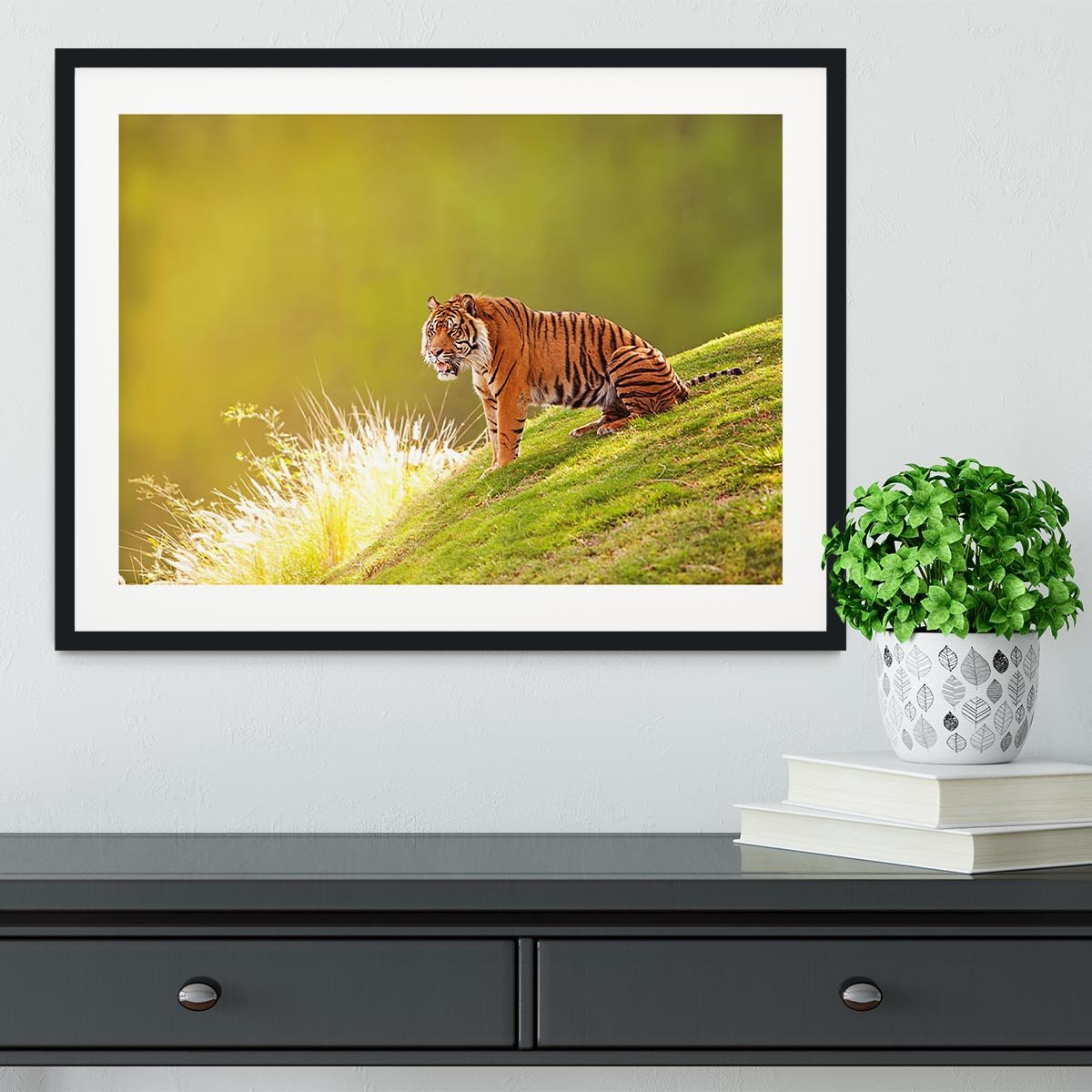 Beautiful Sumatran Tiger Framed Print - Canvas Art Rocks - 1
