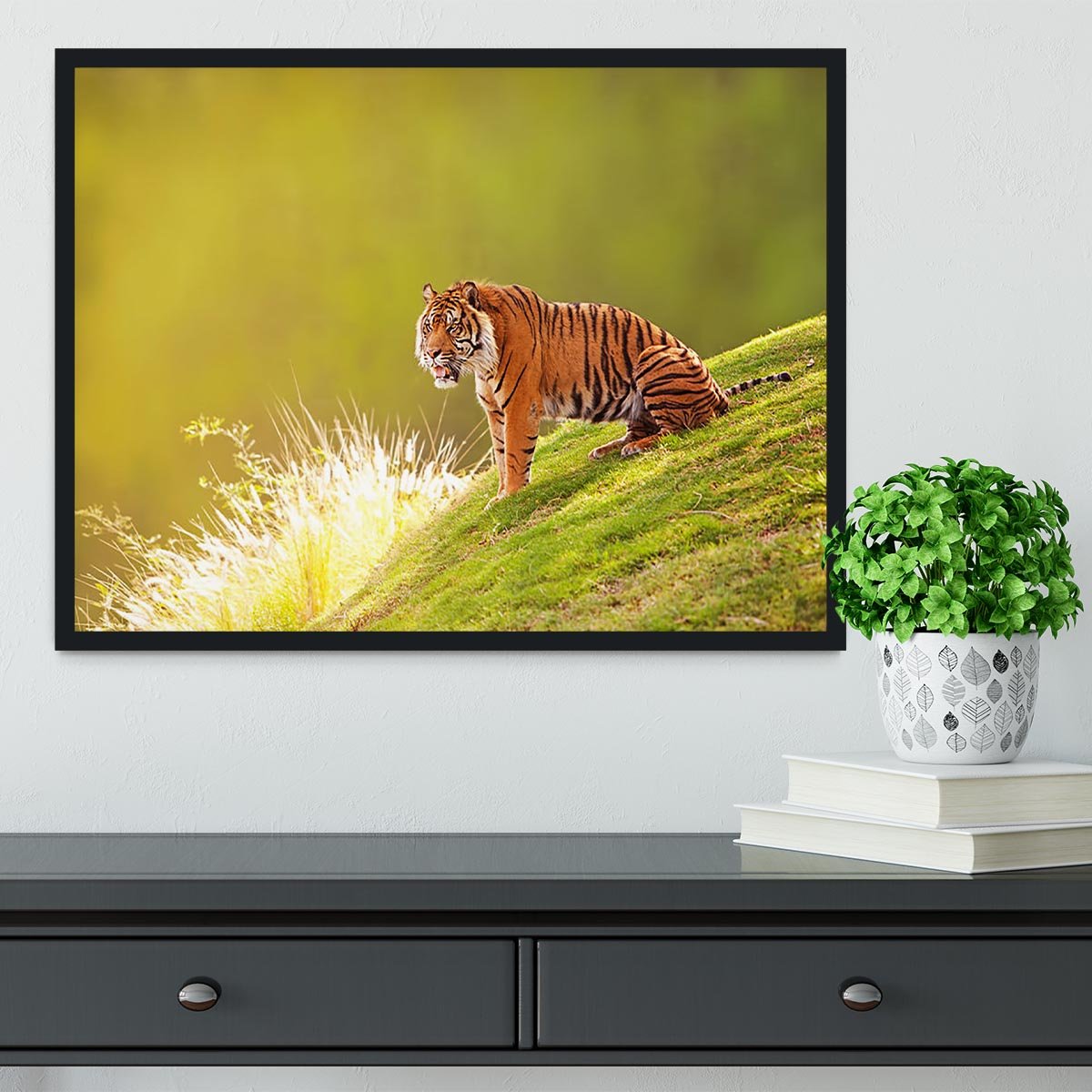 Beautiful Sumatran Tiger Framed Print - Canvas Art Rocks - 2