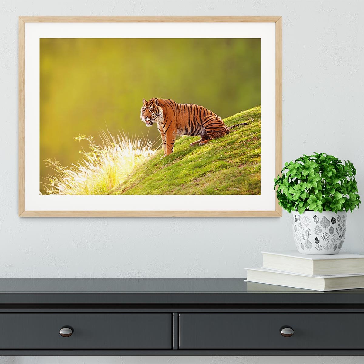 Beautiful Sumatran Tiger Framed Print - Canvas Art Rocks - 3