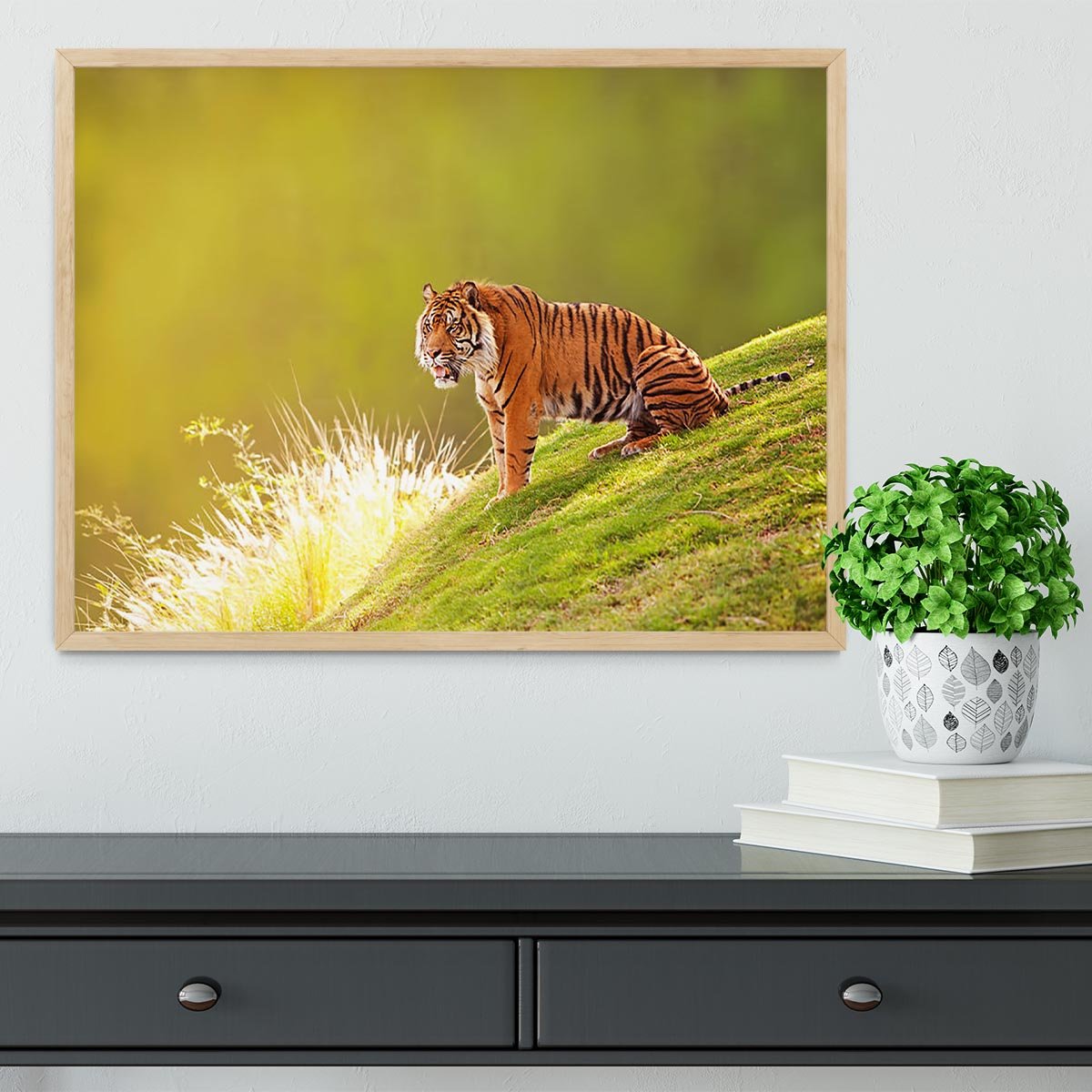 Beautiful Sumatran Tiger Framed Print - Canvas Art Rocks - 4