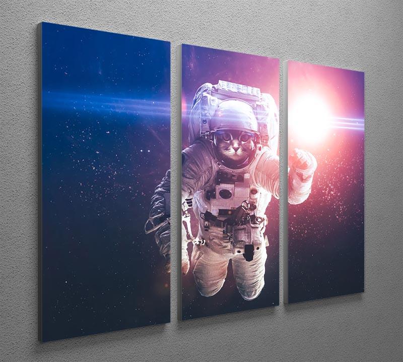 Beautiful cat in outer space 3 Split Panel Canvas Print - Canvas Art Rocks - 2