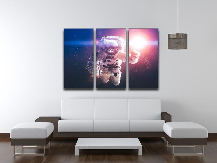 Beautiful cat in outer space 3 Split Panel Canvas Print - Canvas Art Rocks - 3