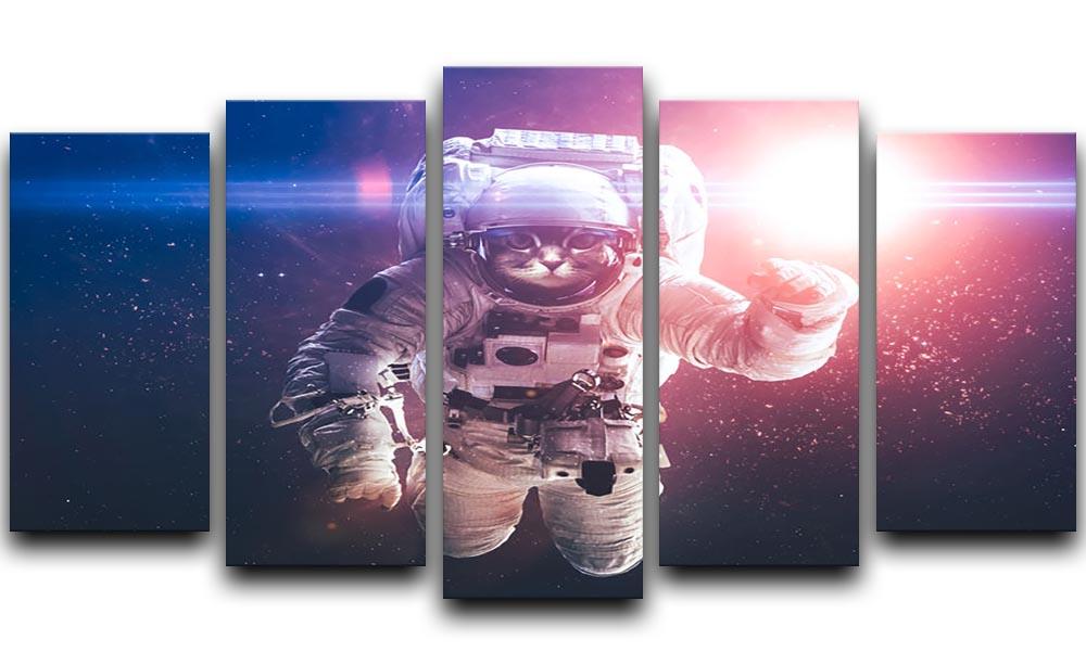 Beautiful cat in outer space 5 Split Panel Canvas - Canvas Art Rocks - 1