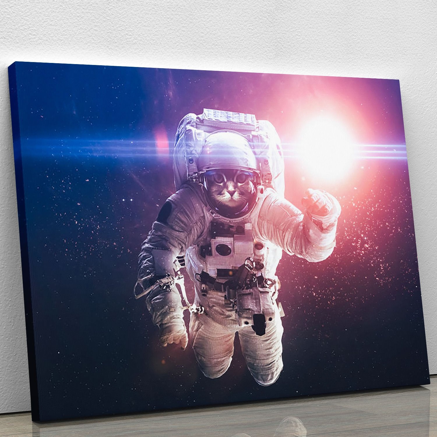 Beautiful cat in outer space Canvas Print or Poster