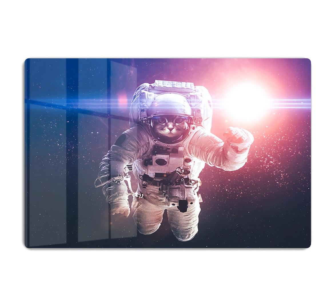 Beautiful cat in outer space HD Metal Print - Canvas Art Rocks - 1