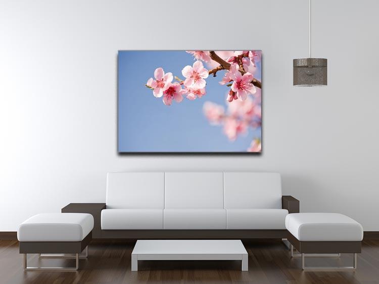 Beautiful colorful fresh spring flowers Canvas Print or Poster - Canvas Art Rocks - 4