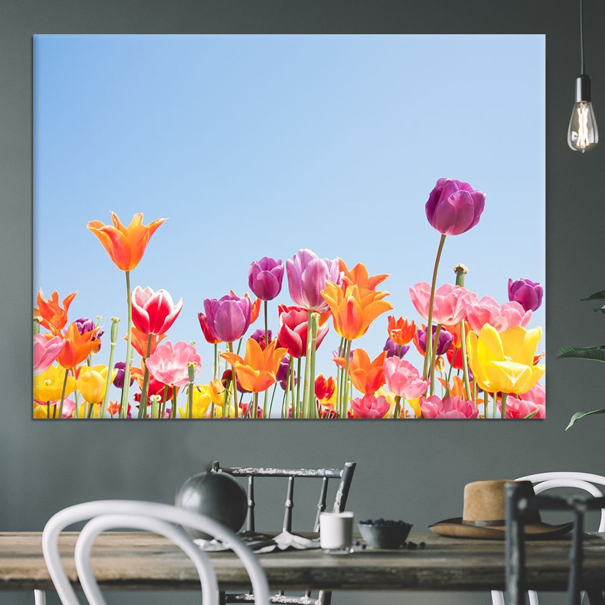 Beautiful coloured flowers Canvas Print or Poster