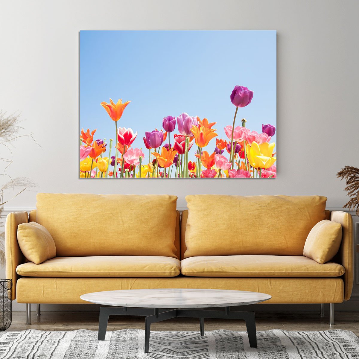 Beautiful coloured flowers Canvas Print or Poster