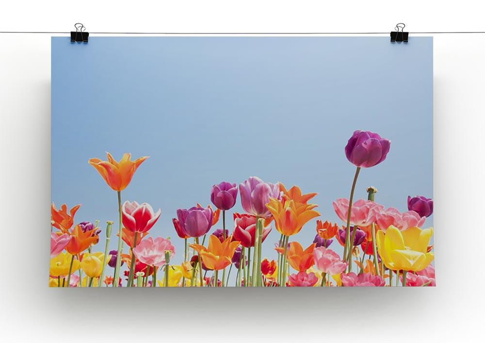 Beautiful coloured flowers Canvas Print or Poster - Canvas Art Rocks - 2