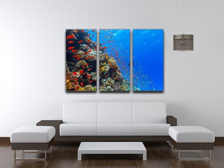 Beautiful coral reef with fish in Red sea 3 Split Panel Canvas Print - Canvas Art Rocks - 3