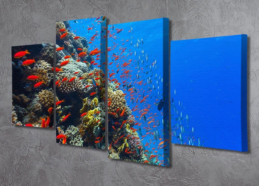 Beautiful coral reef with fish in Red sea 4 Split Panel Canvas - Canvas Art Rocks - 2