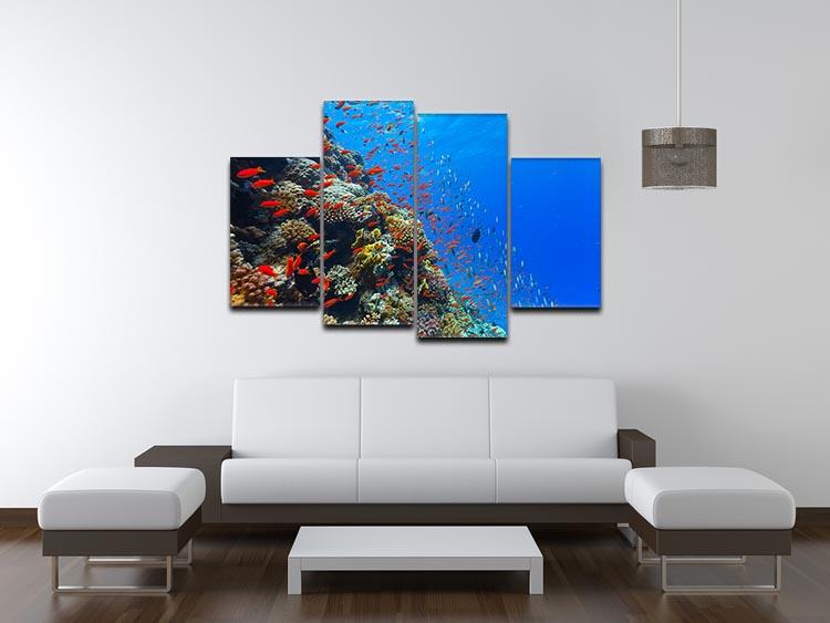 Beautiful coral reef with fish in Red sea 4 Split Panel Canvas - Canvas Art Rocks - 3