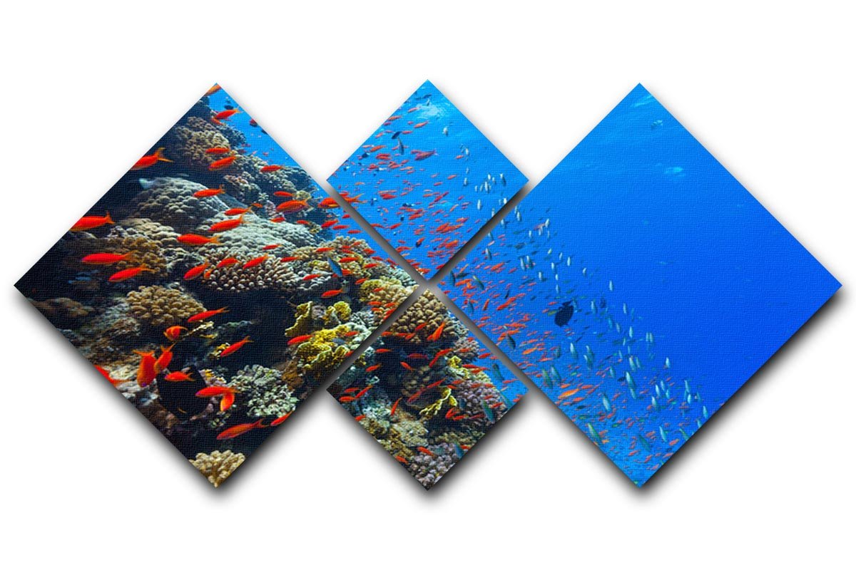 Beautiful coral reef with fish in Red sea 4 Square Multi Panel Canvas - Canvas Art Rocks - 1
